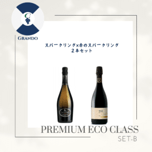 保護中: 限定SALE Bセット　スパークリング×赤のスパークリング　２本セット　