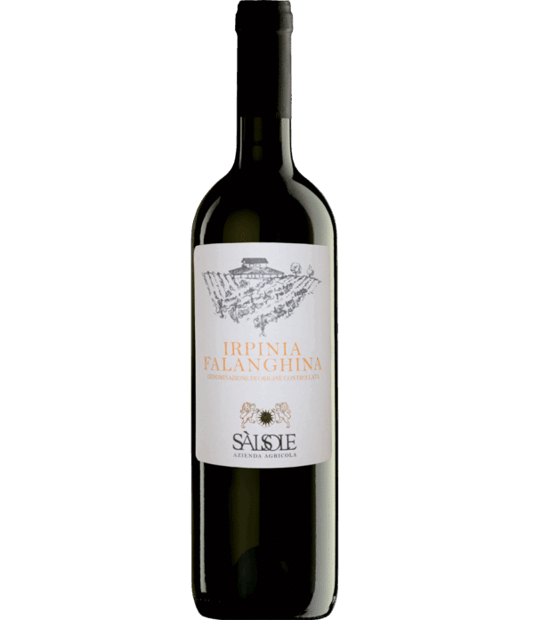 (白) ファランギーナ 2024 FALANGHINA