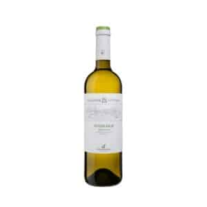 (白) モスカート・ジャッロ 2024	Moscato Giallo